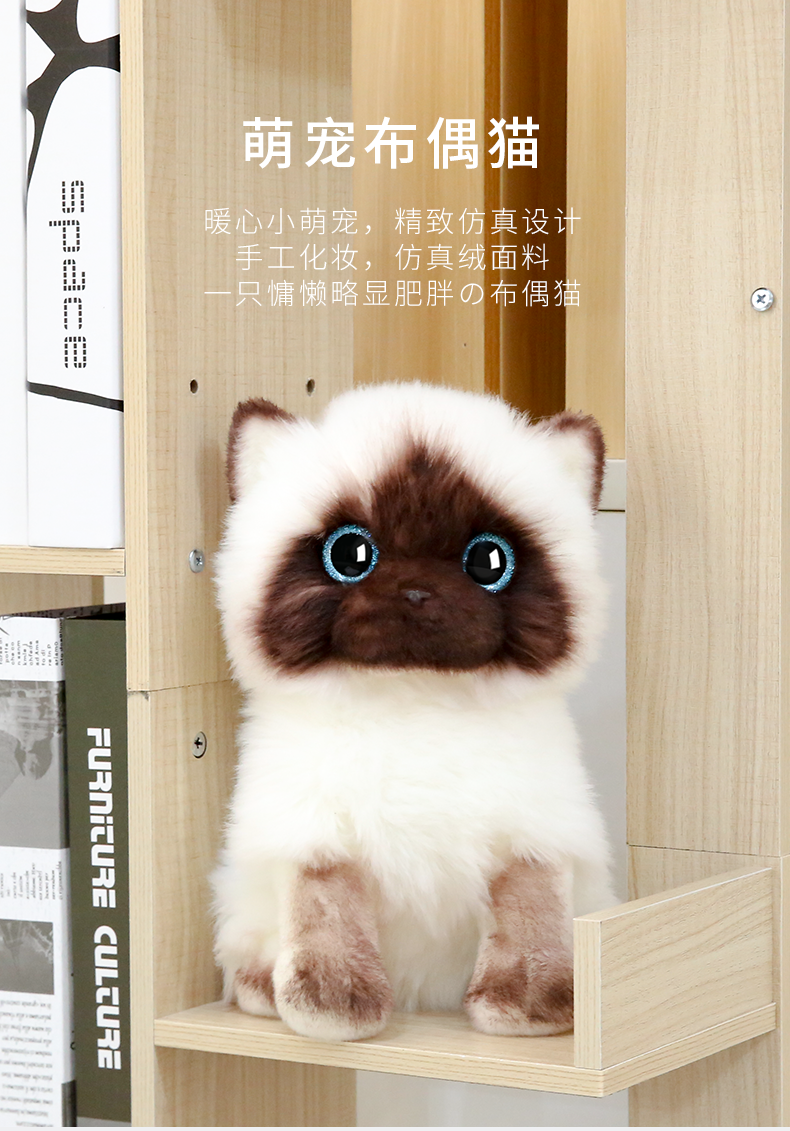 暹罗猫