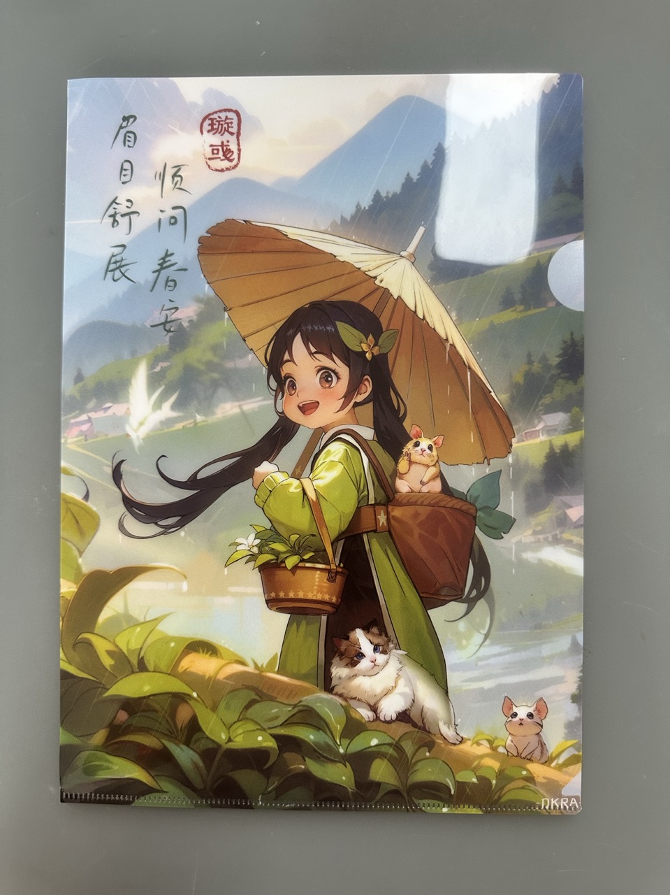 二次元收纳文件夹