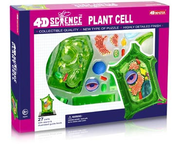 4DMaster细胞解剖拼装模型：植物细胞