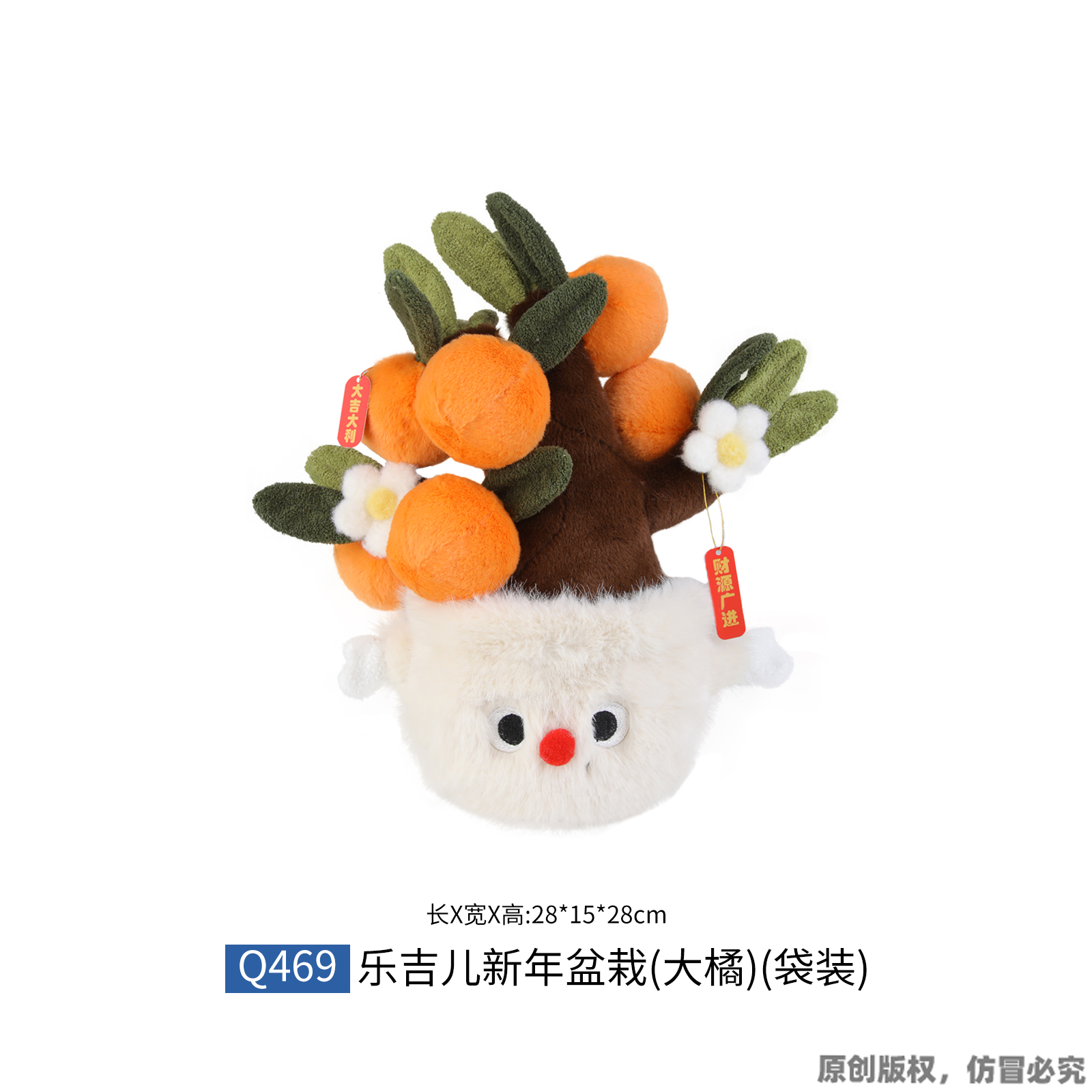 新年盆栽-大橘