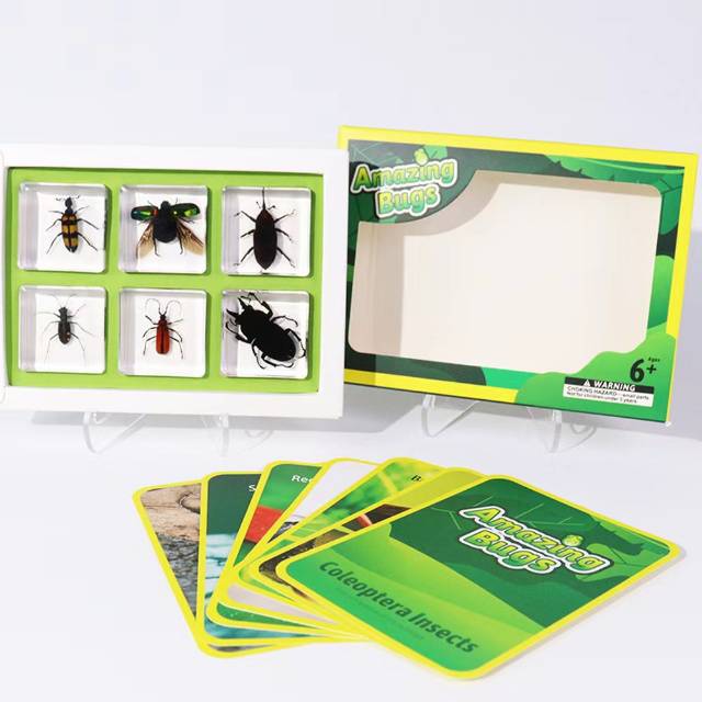 Insect Kits