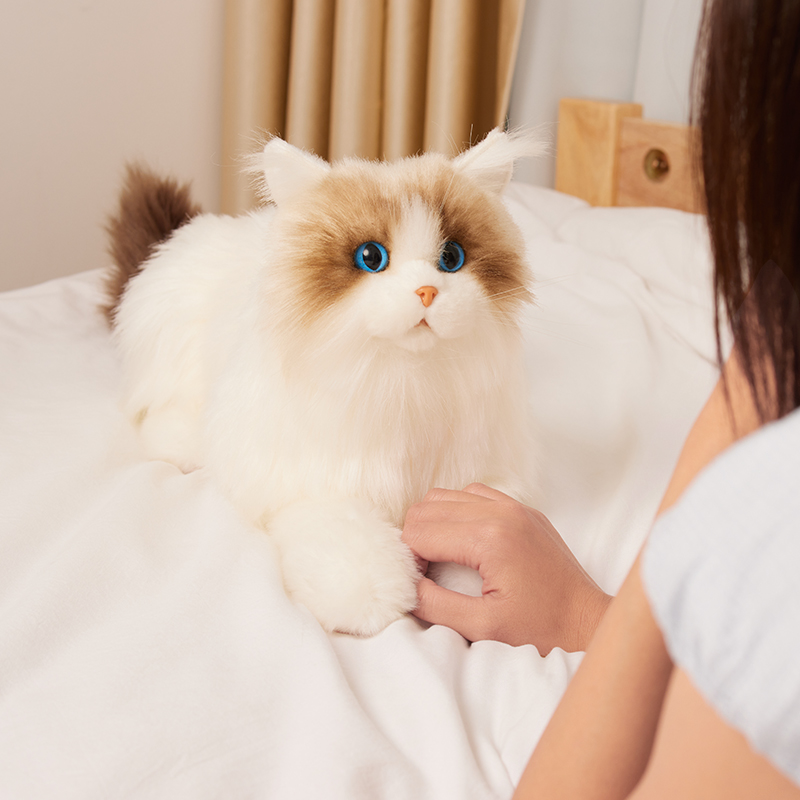 Mate Cat智能反馈猫
