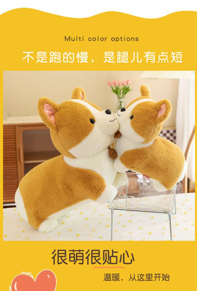 兔毛柯基