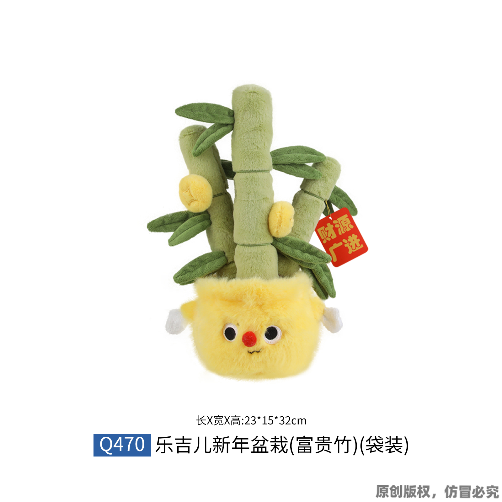 新年盆栽-富贵竹